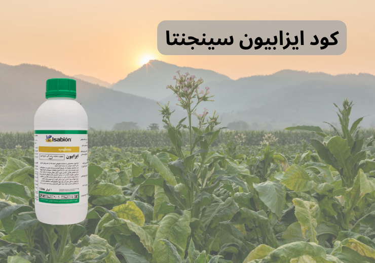 کود ایزابیون