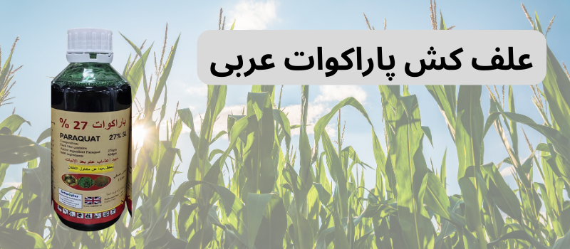 علف کش پاراکوات