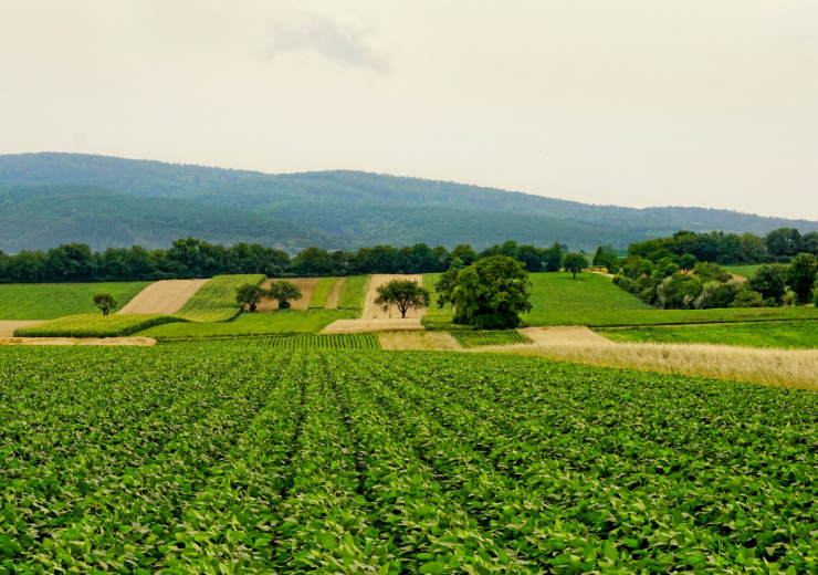 استفاده از سموم علف‌کش