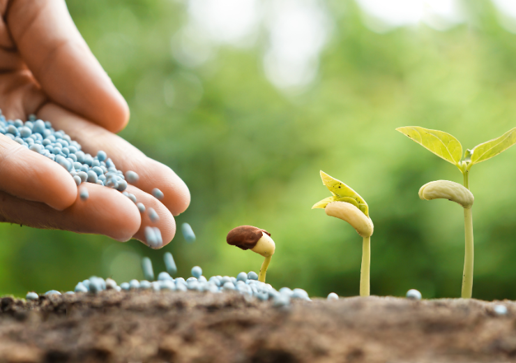 اهمیت استفاده از قارچ‌کش‌ها