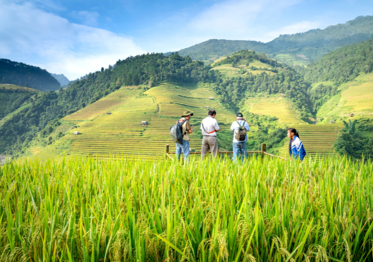 سموم کشاورزی