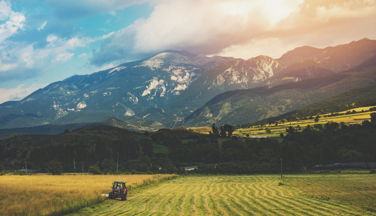 ۵ اشتباه رایج باغداران در پاییز و زمستان