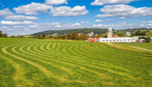 افزایش مقاومت گیاهان به آفات