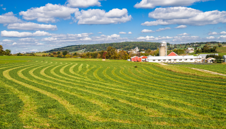 افزایش مقاومت گیاهان به آفات