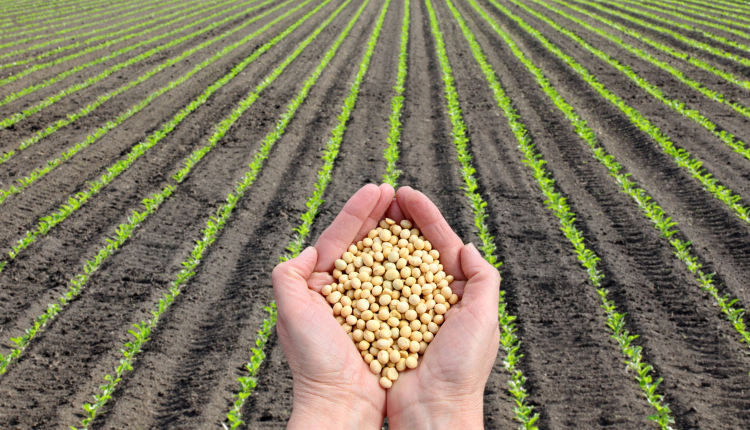 سم‌ و مکانیسم‌های کنترل نماتد در باغات ایران