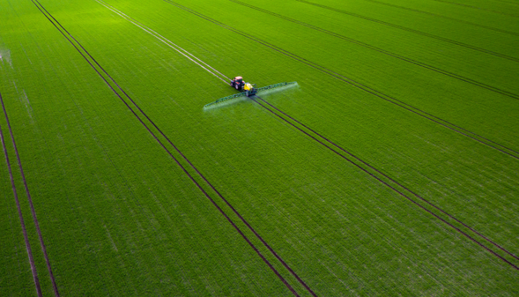 کودهای ارگانیک یا شیمیایی