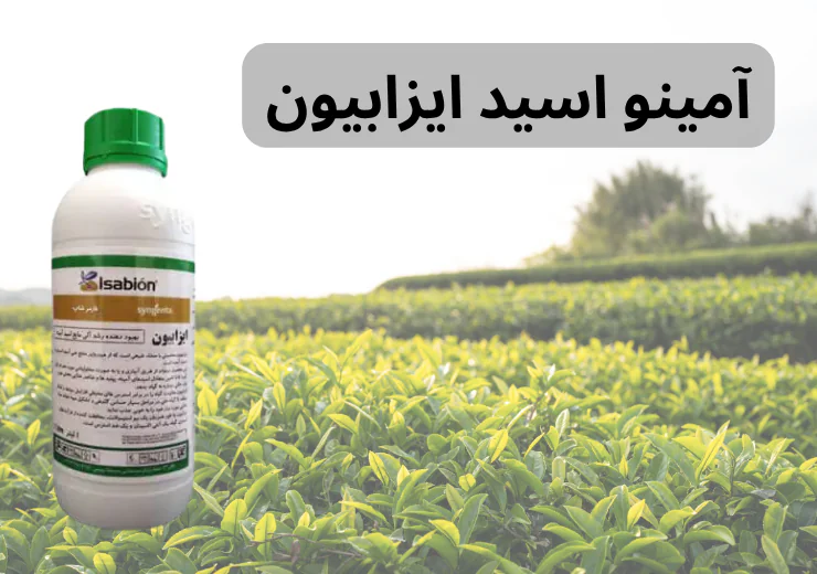 کود آمینو اسید