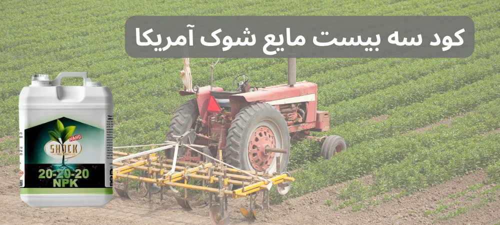 کود شوک آمریکایی 