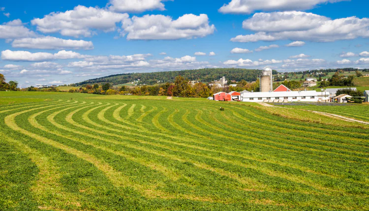 افزایش مقاومت گیاهان به آفات