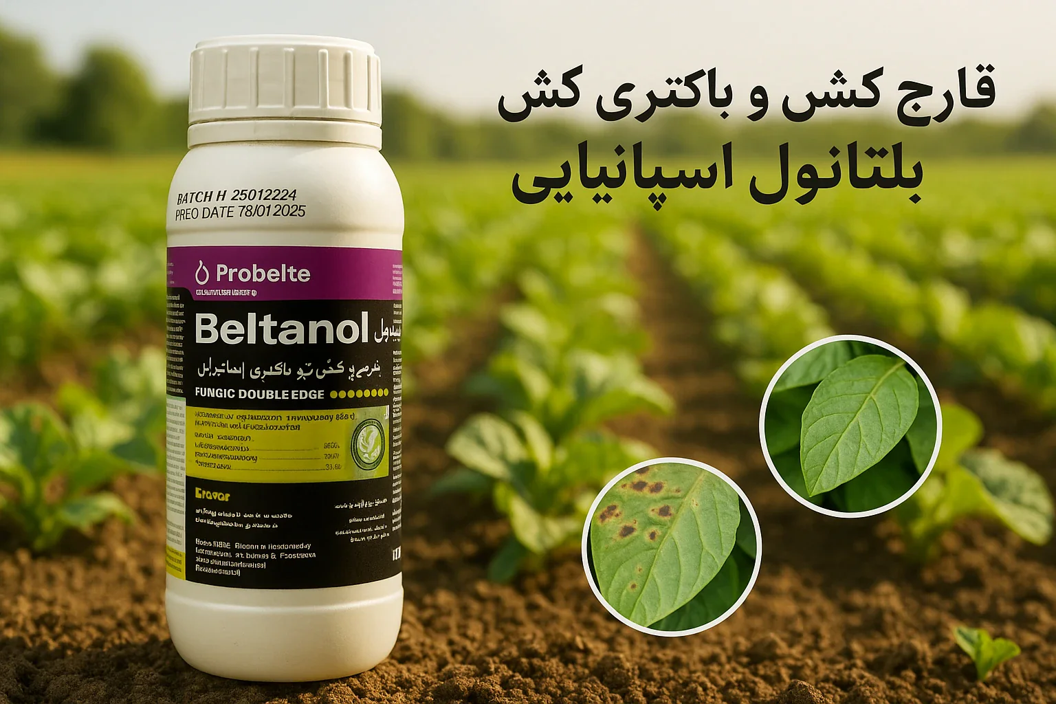 قارچ کش بلتانول