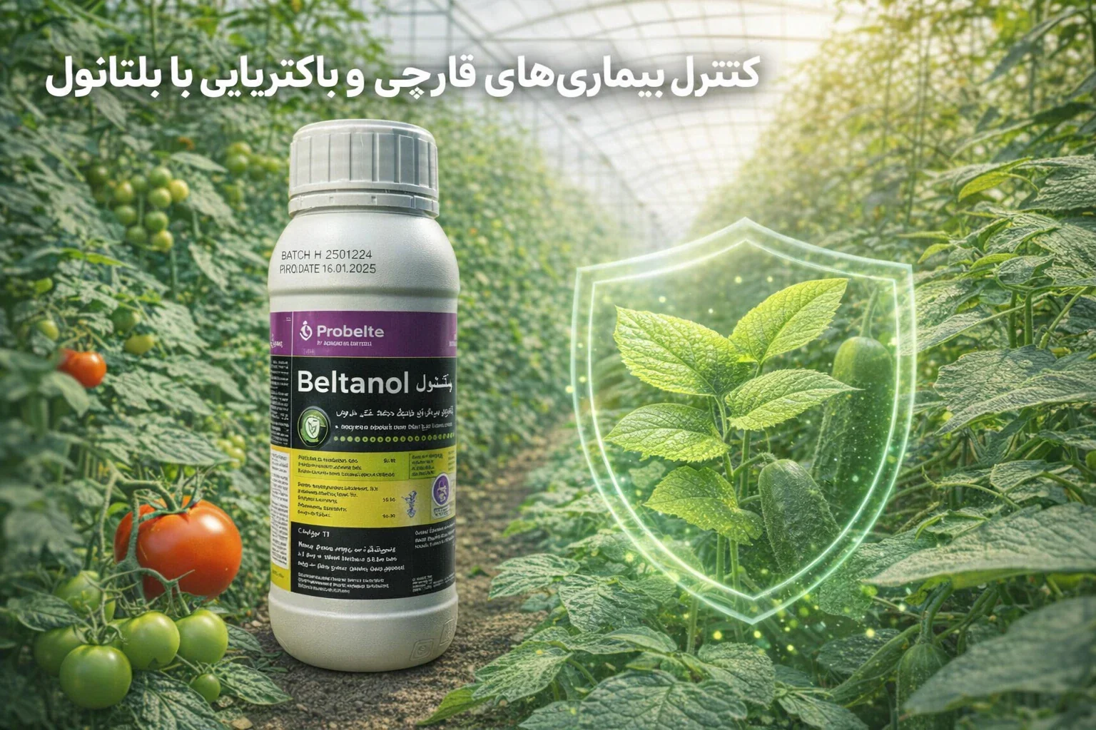 باکتری کش بلتانول