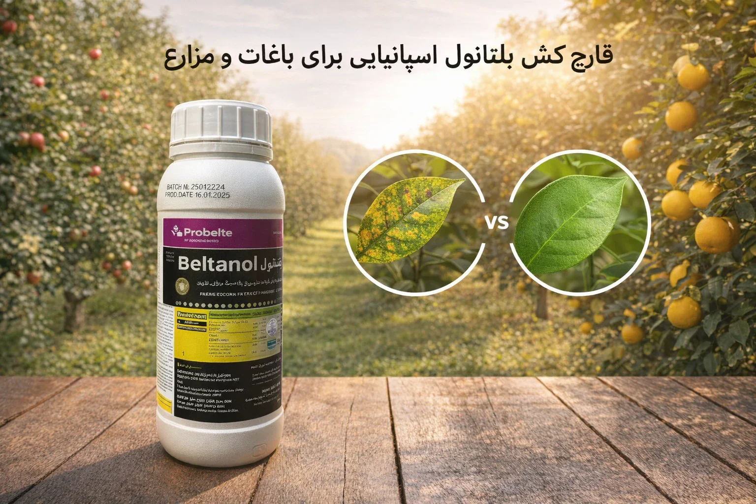 قارچ کش خارجی